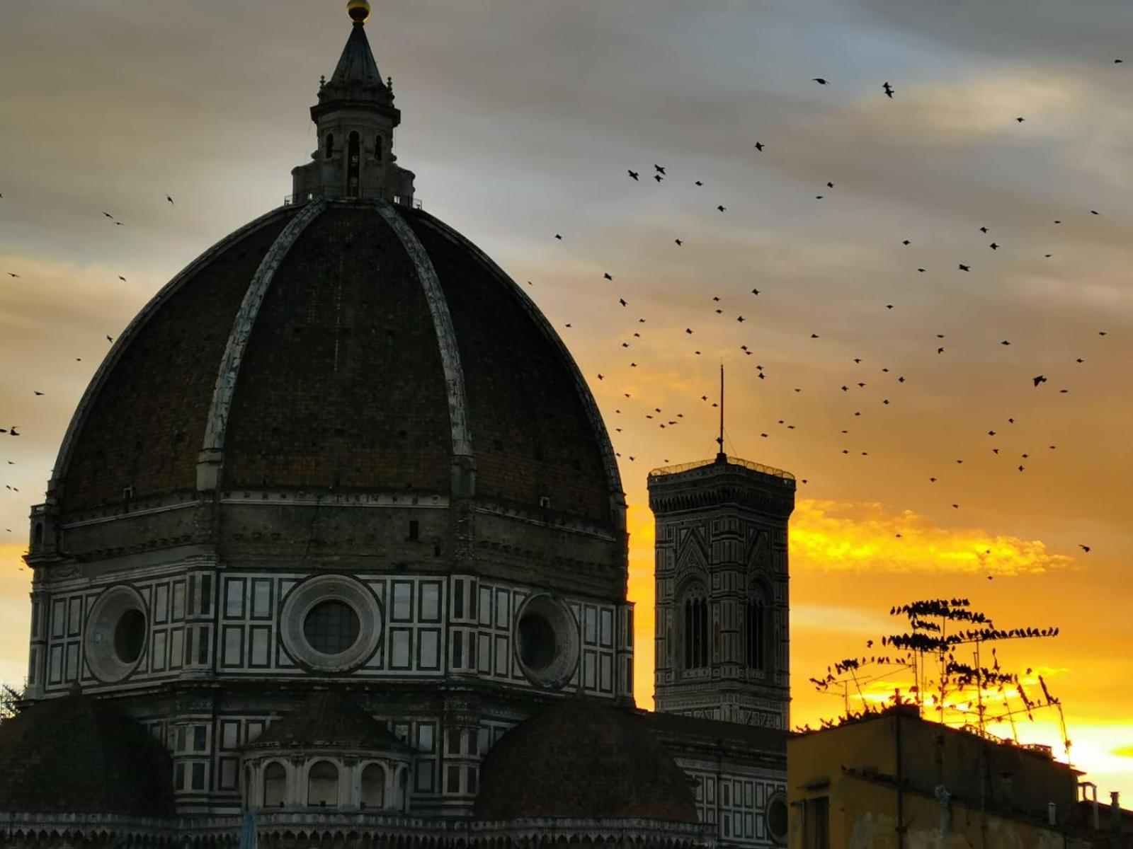Duomo studio Firenze Eksteriør billede